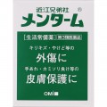 近江兄弟社家庭生活止癢皮膚萬能膏85g (Pre-order預訂)