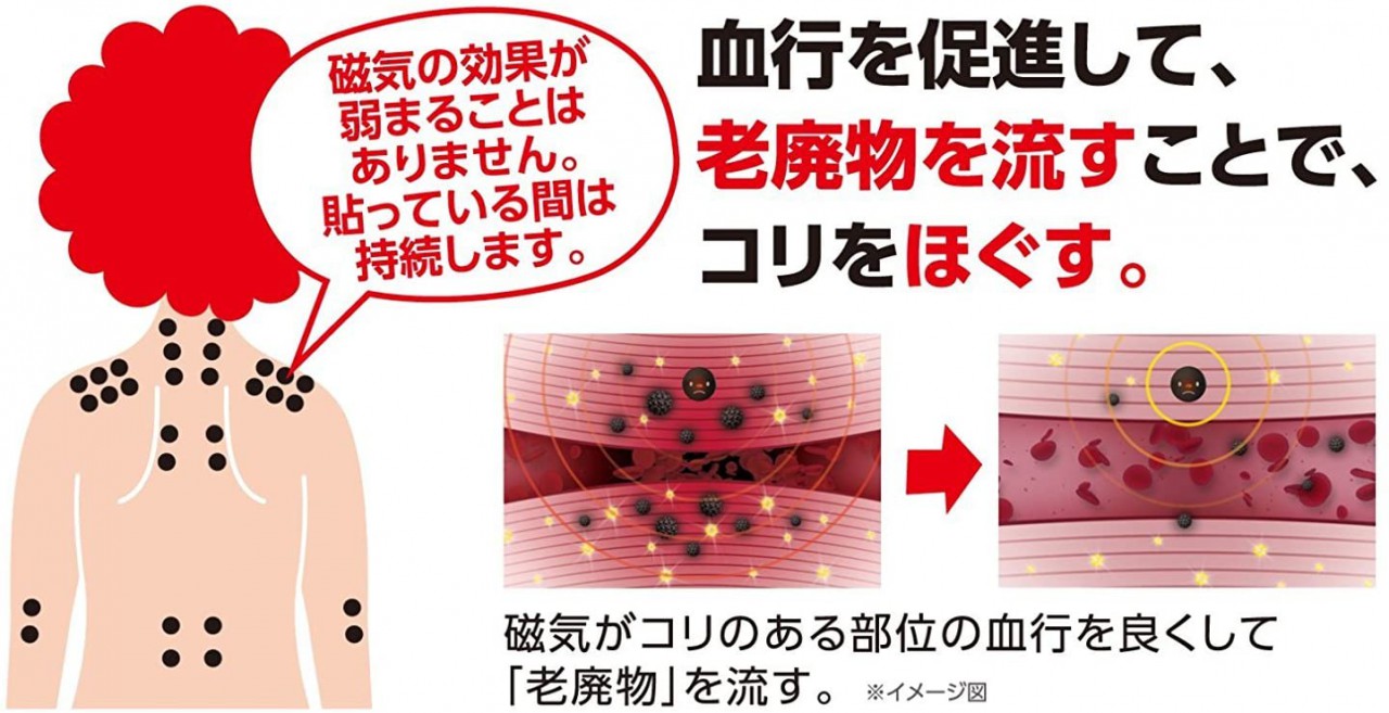 日本磁石貼 MAX200MT 24粒 血液循環