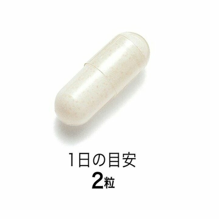 Fancl 淨腸活性益生菌 60粒裝